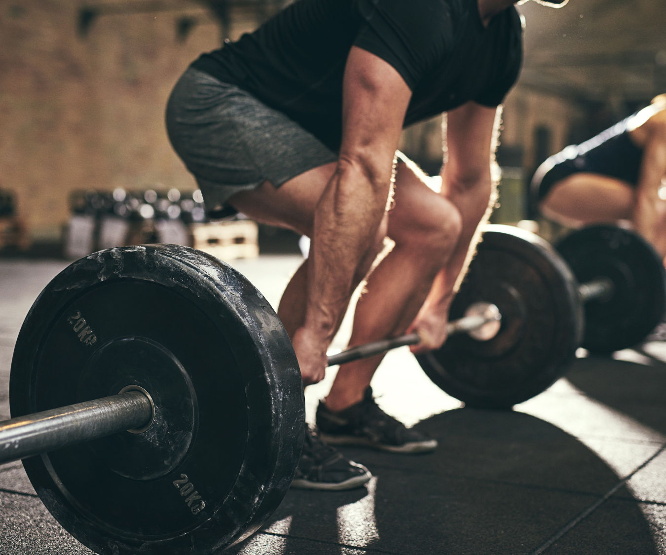 Training Model